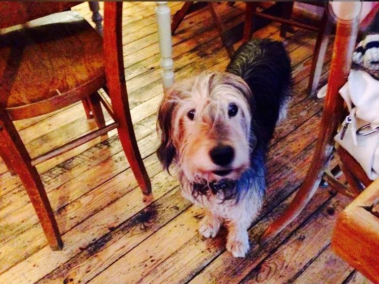 布鲁塞尔天鹅咖啡馆别具一格,布鲁塞尔的咖啡厅