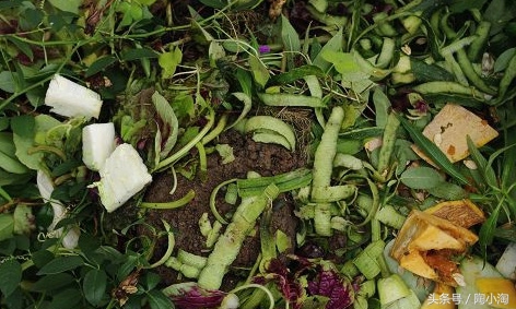 吃剩下的饭怎么处理,吃了好多东西后怎么补救