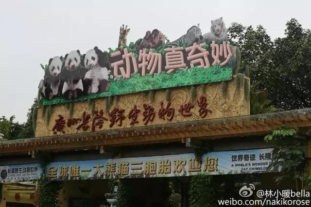 广州长隆亲子游最省钱攻略,广州长隆亲子游最全游玩攻略