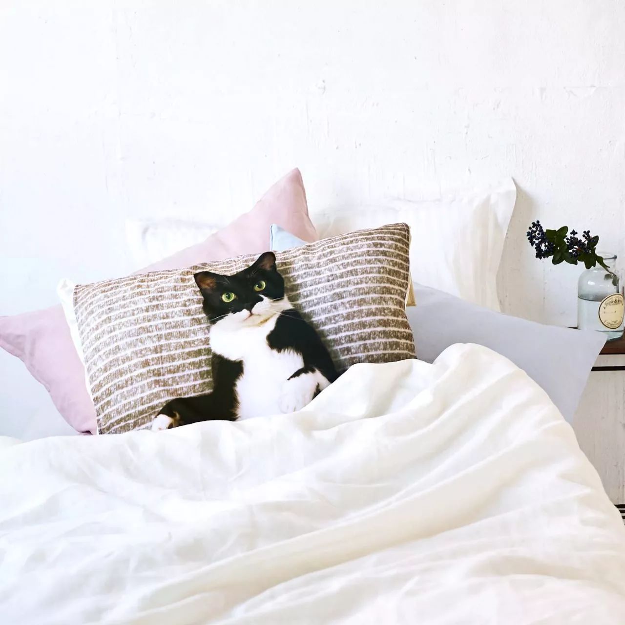 鐚挭缇庡鍒嗕韩,鐚挭涓撶敤缇庡