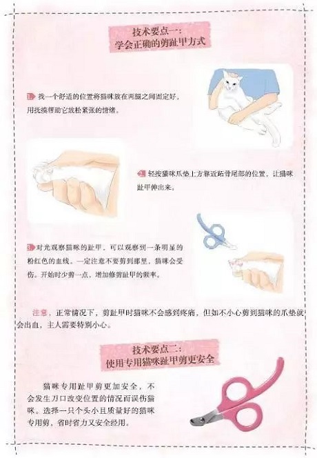 这都不知道，还敢说你会养猫？