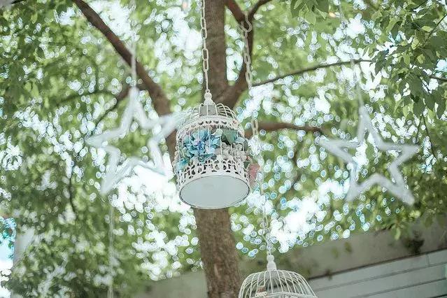 厦门旅游自由行攻略,厦门自由行旅游攻略