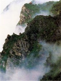 庐山云雾茶什么等级,正宗庐山云雾茶价格