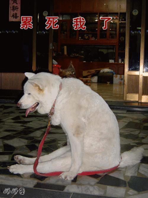 7-11便利店为什么那么贵,7-11便利店到底是哪国的