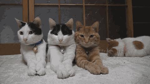 安瓶推荐排行榜前十名,推荐淡斑安瓶