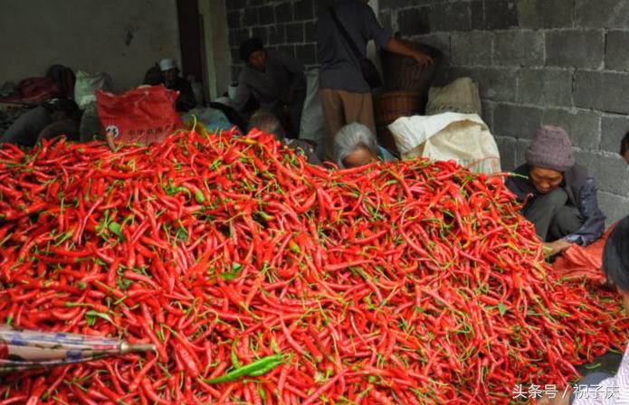 100个小成本适合农村创业的小方法,分享25个新型农村致富项目