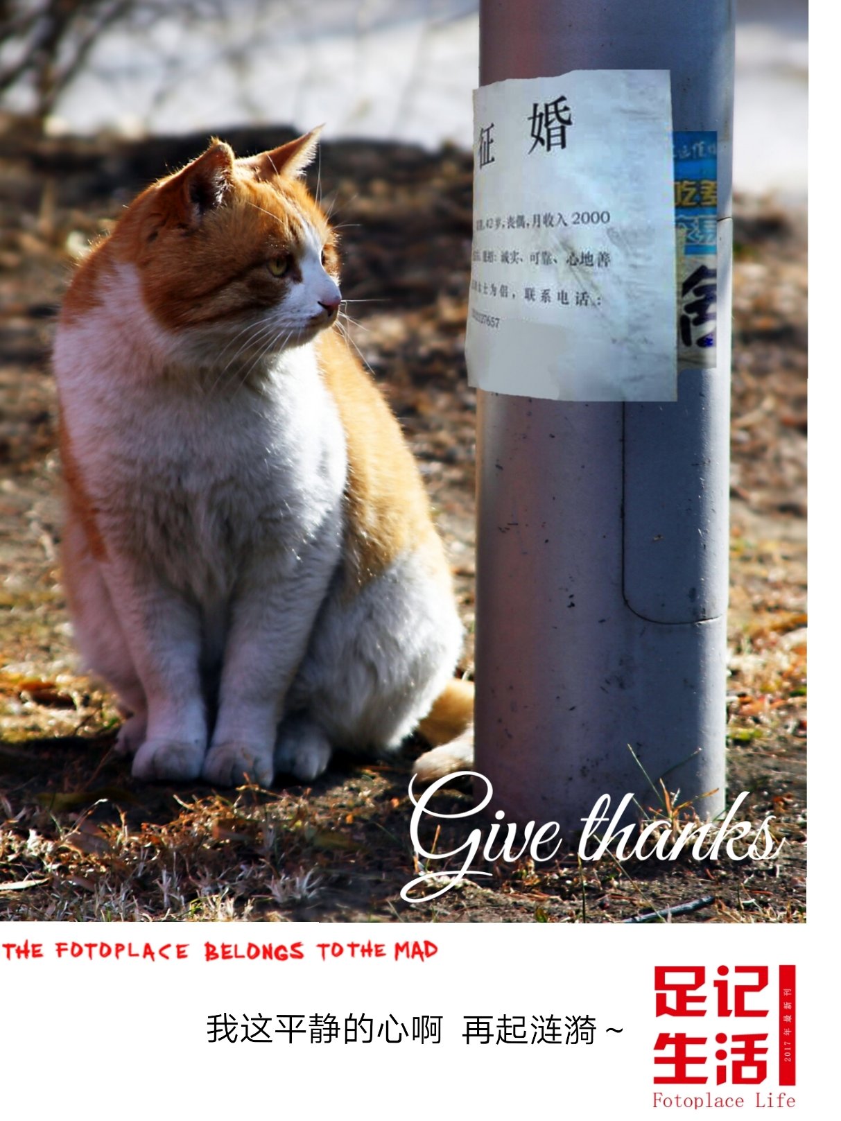 给孩子起名有什么忌讳,给孩子起名忌讳什么