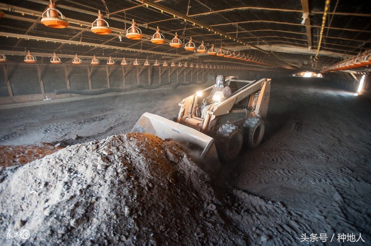 鸡粪怎样发酵成有机肥EM堆肥剂,鸡粪厌氧发酵有机肥技术