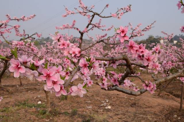 浦东头条新闻,浦东新区新闻头条最新