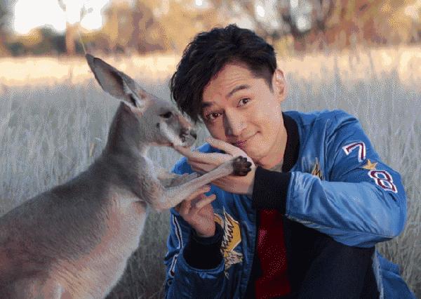 胡歌深夜发圈,胡歌深夜发文感慨万千