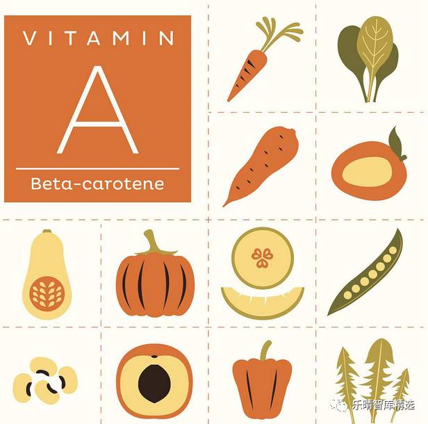 维生素涨价国际维生素价格走势图,维生素行业最新消息