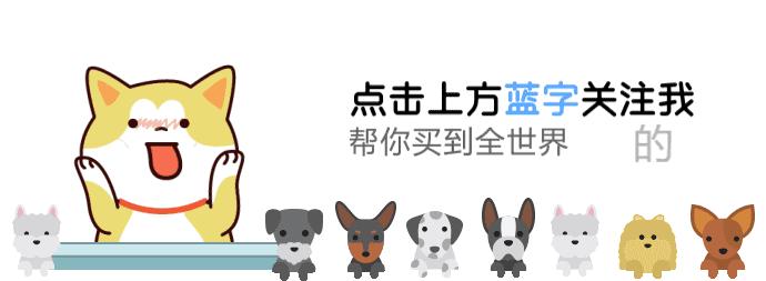 原来外国仙女是骑着柯基满天飞的，哈哈哈哈哈哈太魔性