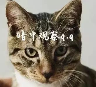 海洋之星质量好吗,海洋之星新品测评