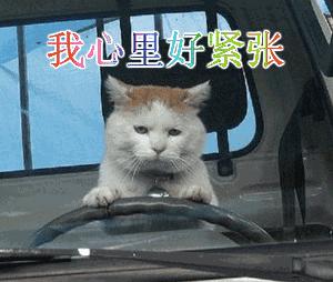 人死了qq账号还有吗,人死了qq账号会怎么办