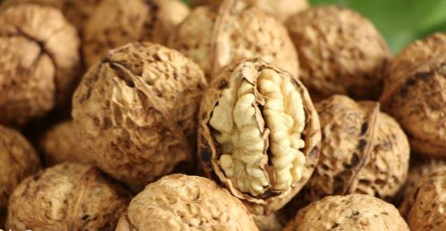 核桃种植不容易，农户大哥来教你，如何高产挣大钱