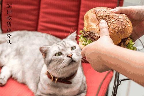 第3家店，但新来的两个男店长都不是人...