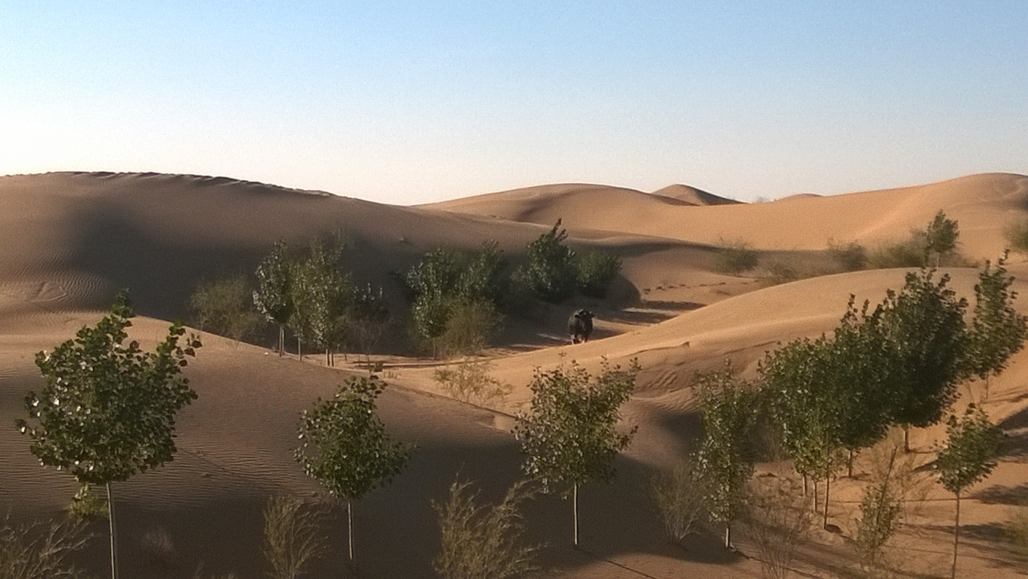 库布齐沙漠穿越之旅,库布齐沙漠西线穿越攻略