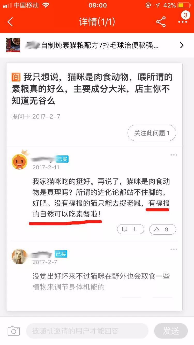 猫做错了什么,猫做错了什么要亲吻
