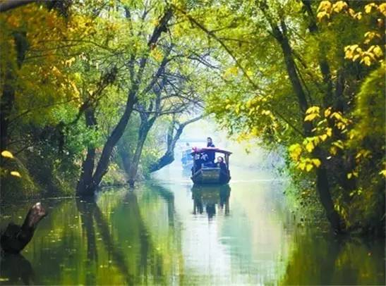 杭州自然现象,西湖十大奇怪现象