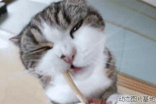 体育圈帅哥,体育帅哥大合集