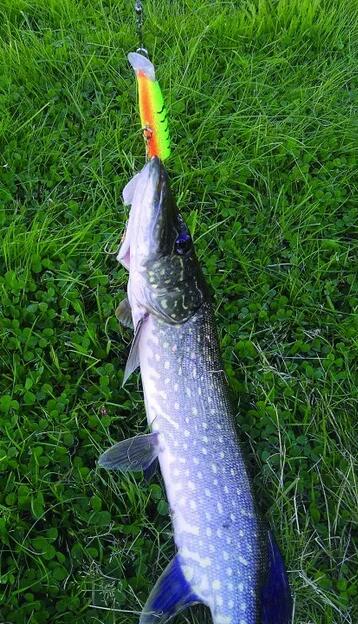 河畔边的哥德堡，路亚狗鱼河鲈的好地方！