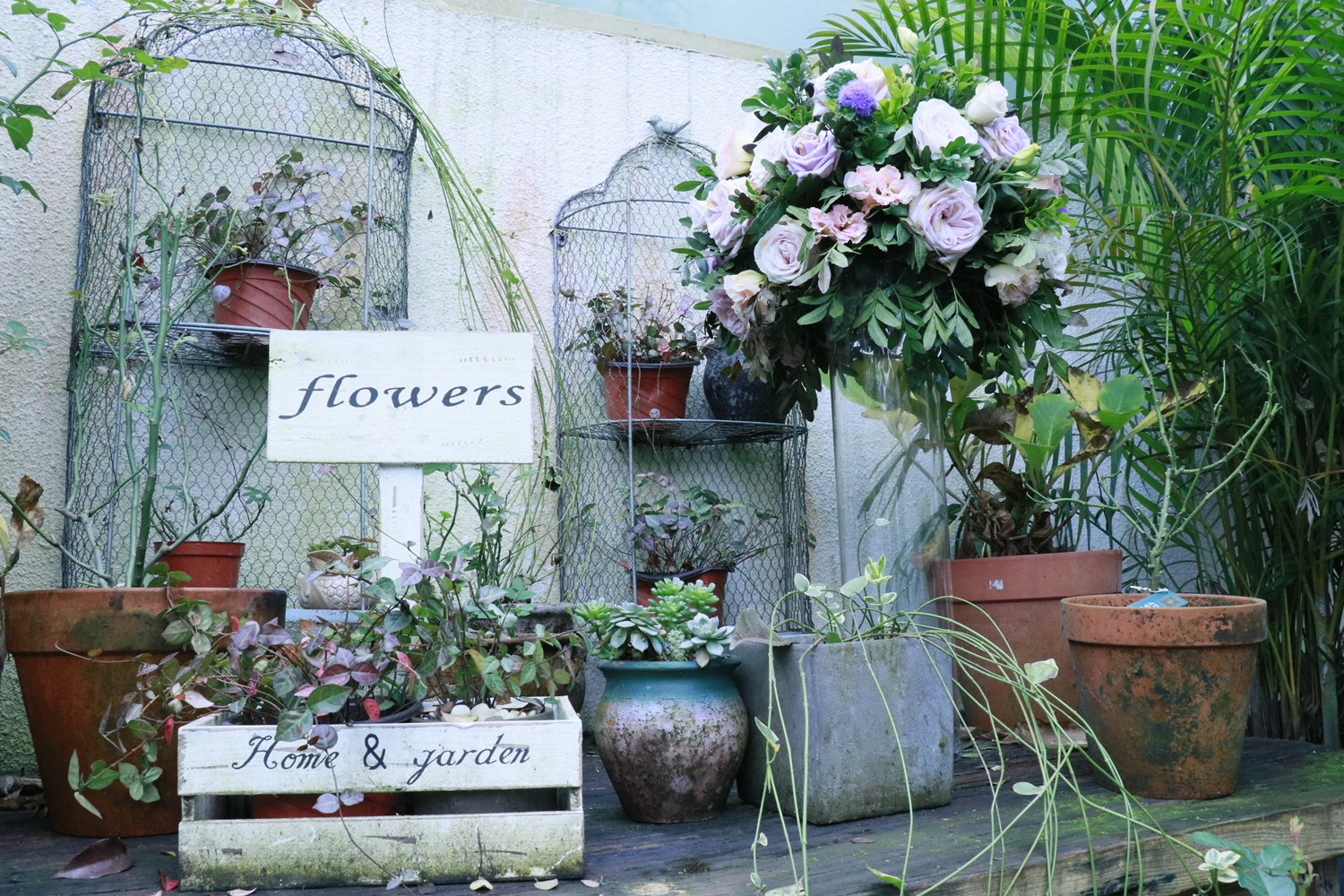 pentaq电竞馆,pentaq电竞