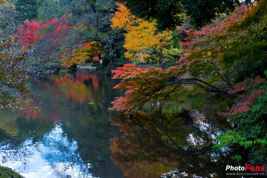 eosm6杩炵画鎷嶆憚,浣宠兘eosm6