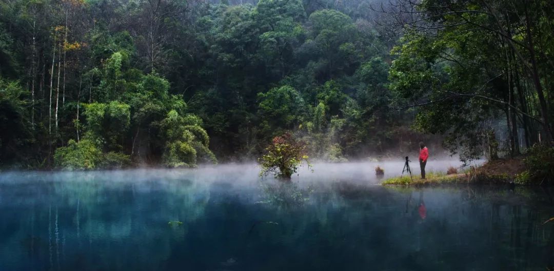 黔南原始森林风景,遇见森林风景
