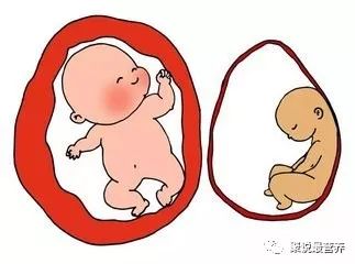 孕妇营养不好要吃什么补充呢,孕妇营养不足导致流产