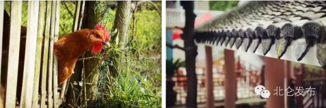 北仑自助农家乐,北仑春晓农家乐攻略