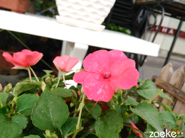 撩妹之余，无声不欢乐檬3评测