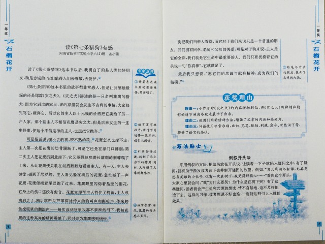 河青杯作文大赛获奖名单,语文报杯作文大赛2017获奖名单