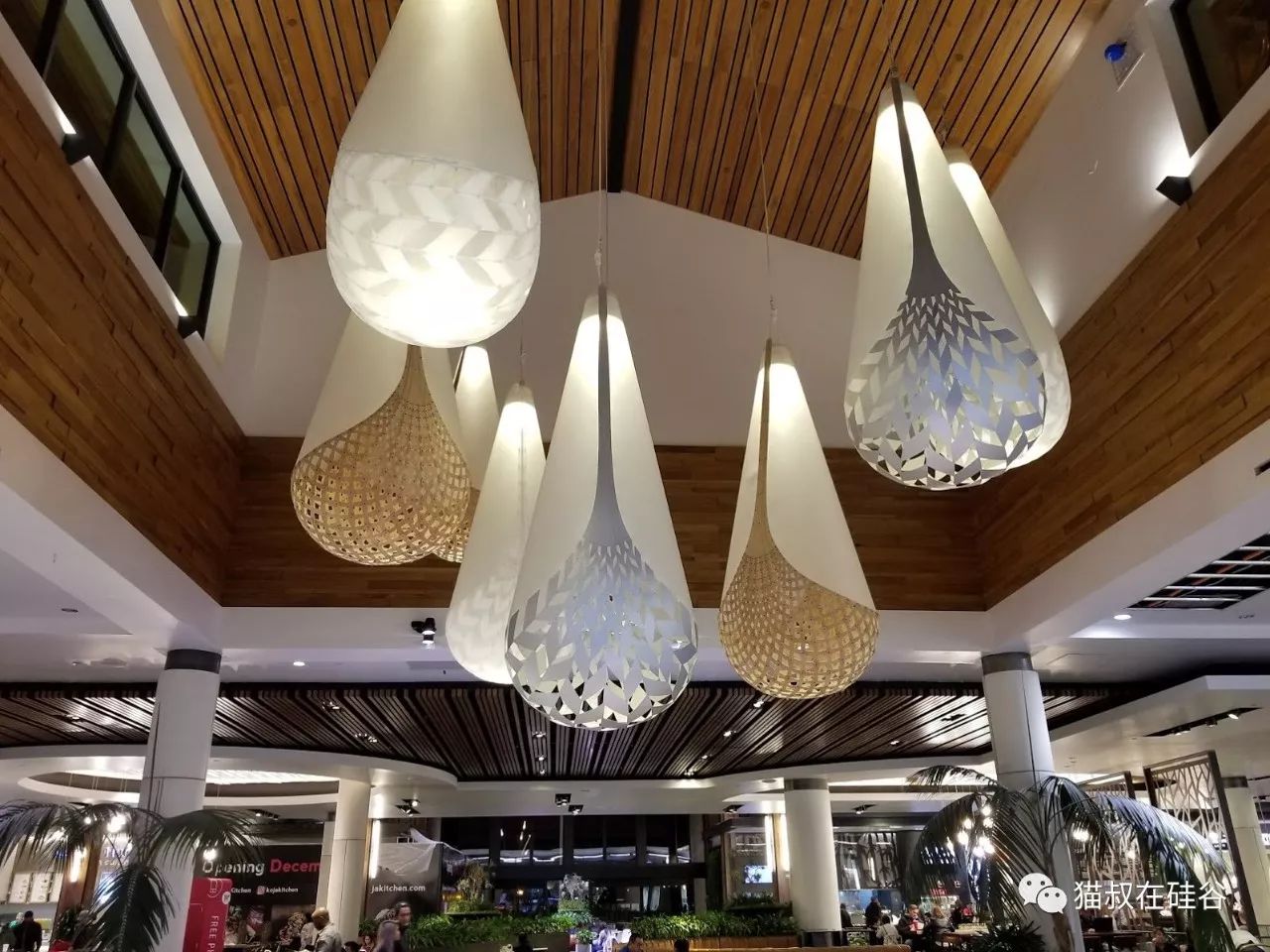 苹果巅峰iphonex,巅峰极速选r8还是c8