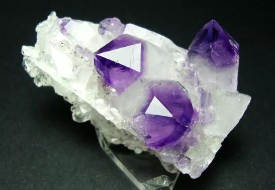 教育从新开始,教育从春天出发