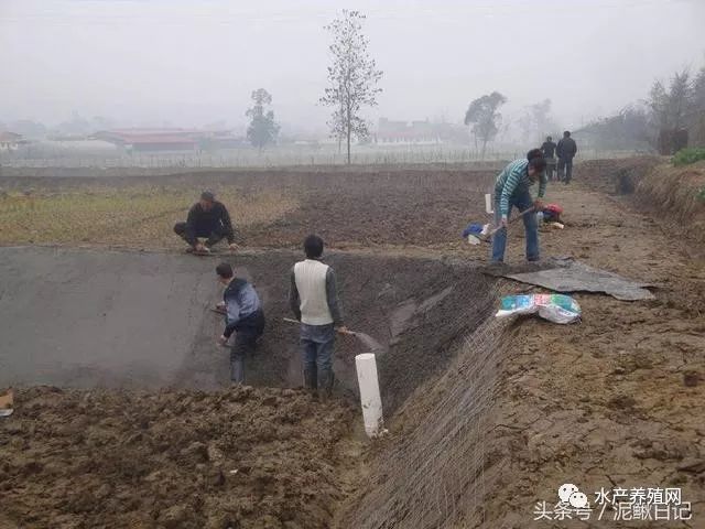 池塘会渗水漏水？老司机教你这么做，效果挺好的！