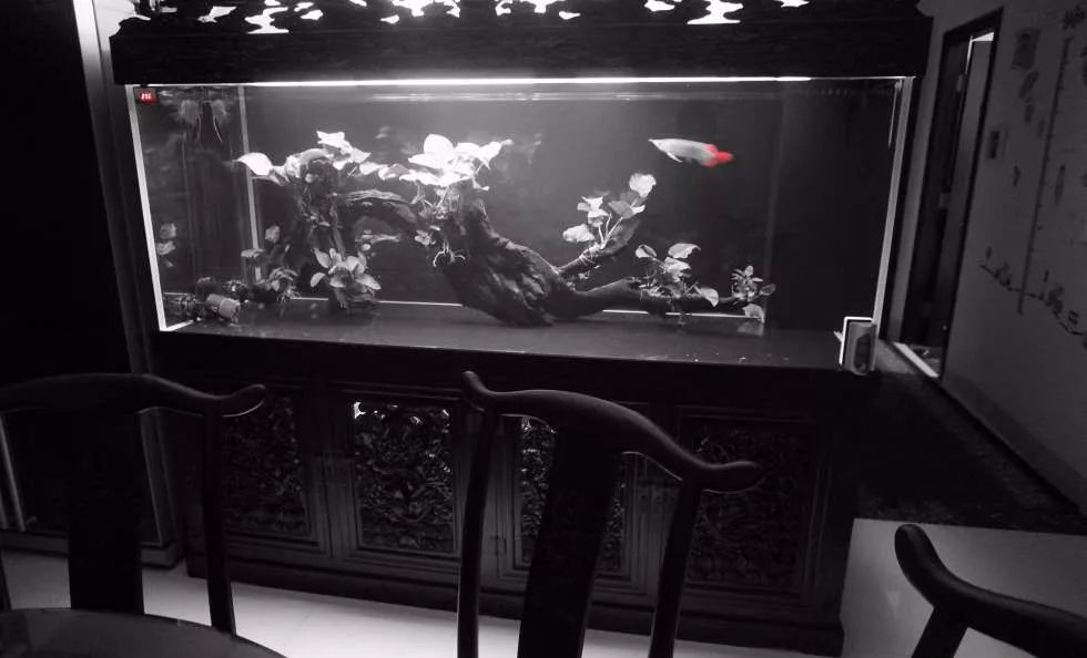 玩得细致、专业,出手不凡!