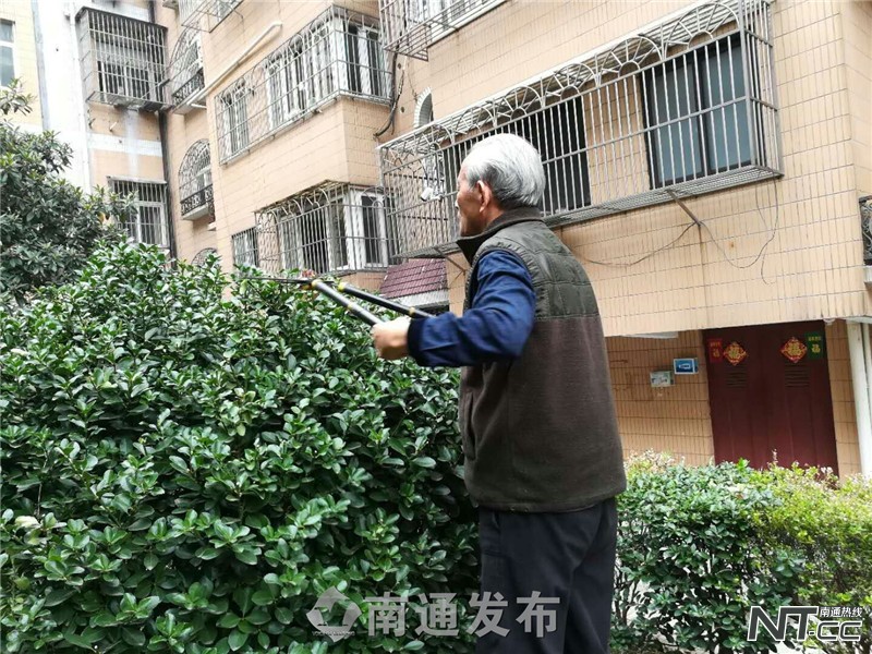 从“濠西菜园子”到“濠西花园”，“春暖花开”护绿队带动居民参与环境自治