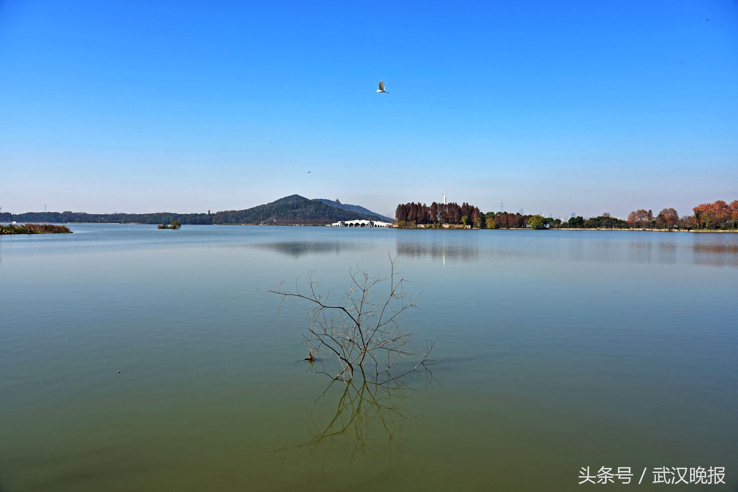 美呆！冬日里上帝打翻了调色盘画下这样的“七彩”大武汉