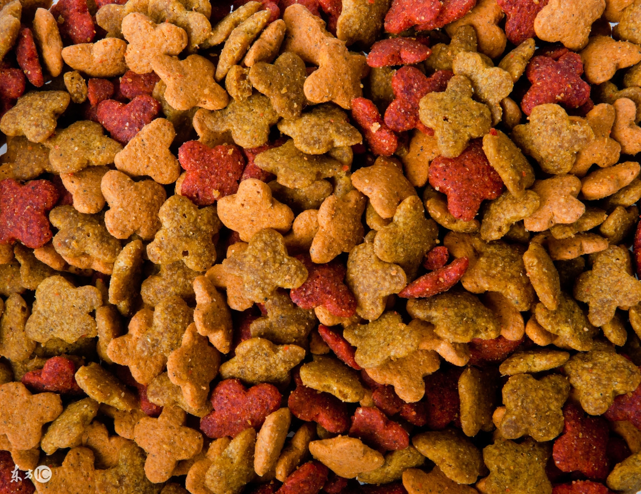 家里有几种猫粮可以混着吃吗,四种猫粮不要吃