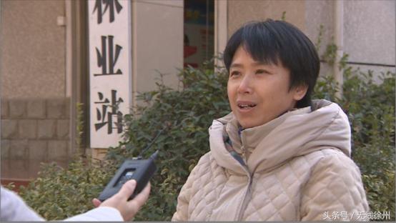 徐州为什么是候鸟栖息地,徐州候鸟