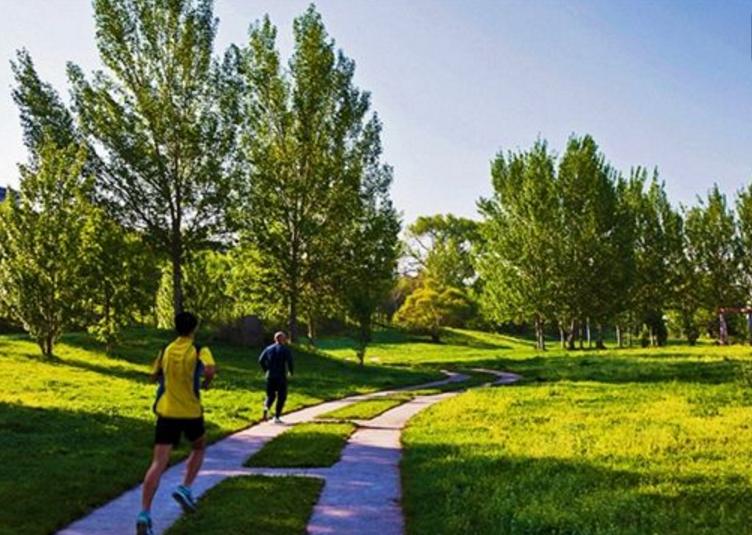 肠胃不好适合跑步吗,肠胃不好在什么时间练跑步