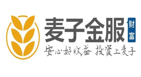 麦子金服高管名单,麦子金服是什么平台