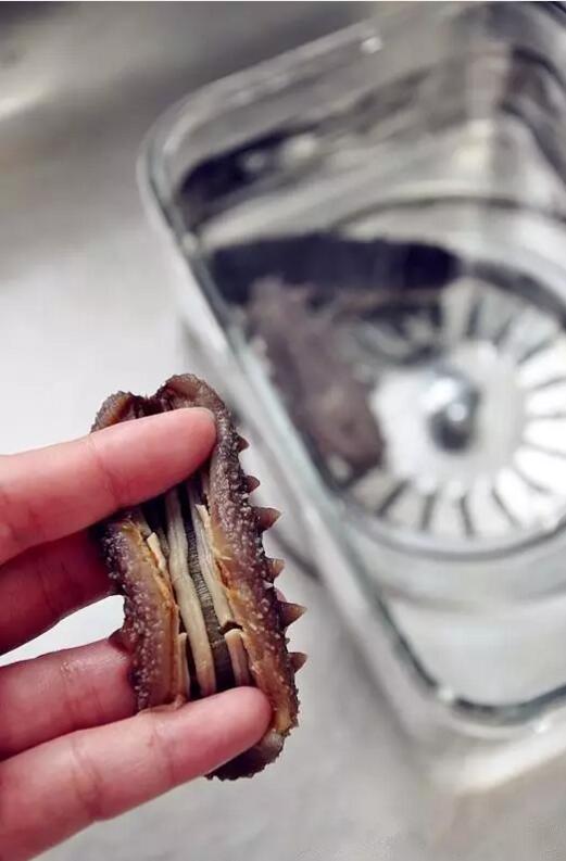 海参怎么发，发海参如此简单！六个步骤，发出标准海参