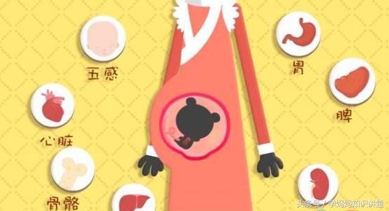 婴儿发育标准对照表0到36个月,怀孕36天宝宝的发育视频