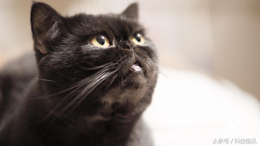 奥林巴斯45mm1.8镜头测评,奥林巴斯14-150ii镜头评测