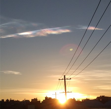 纯正黑糖的四大特点,黑糖是什么呢