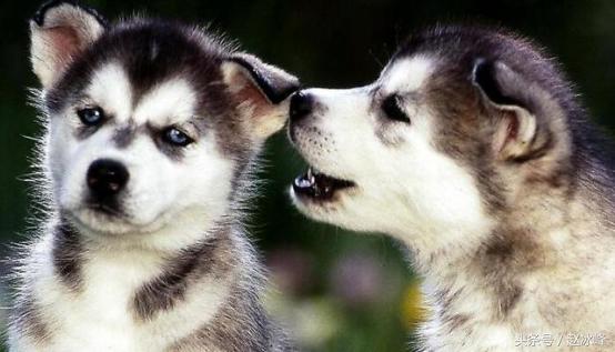 厉害的95后,厉害了95后的视频