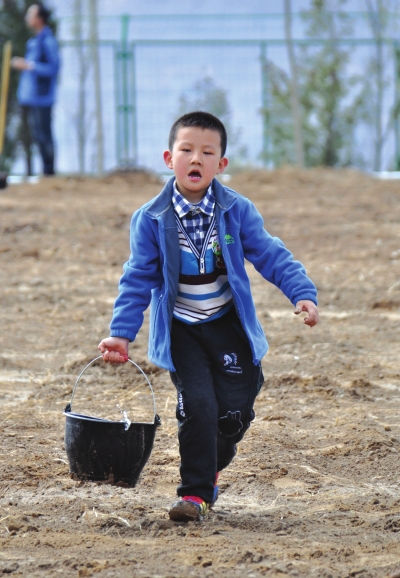 亲子情感依恋,亲子情感完整版