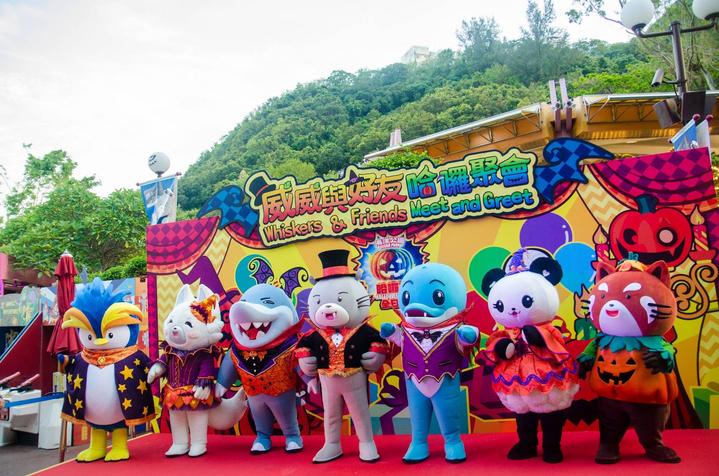 游玩香港海洋公园视频,玩转香港攻略5天4晚