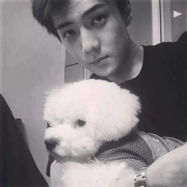 听说你爱豆行程结束后第一件事，就是赶回家见ta！